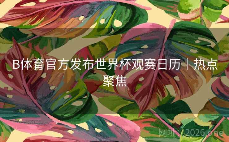 B体育官方发布世界杯观赛日历｜热点聚焦