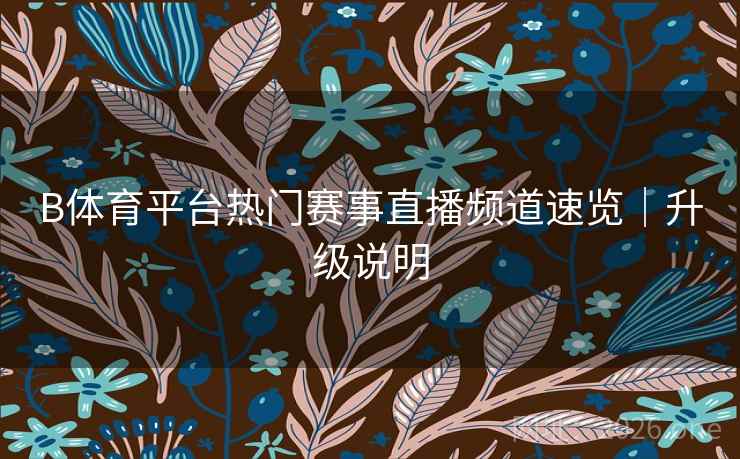 B体育平台热门赛事直播频道速览｜升级说明