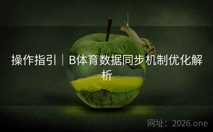 操作指引|B体育数据同步机制优化解析