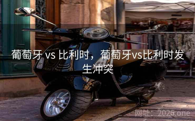 葡萄牙 vs 比利时,葡萄牙vs比利时发生冲突