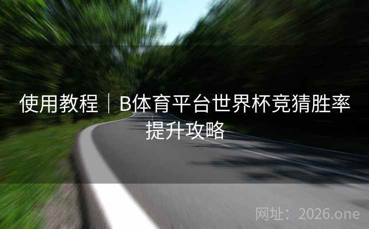 使用教程|B体育平台世界杯竞猜胜率提升攻略