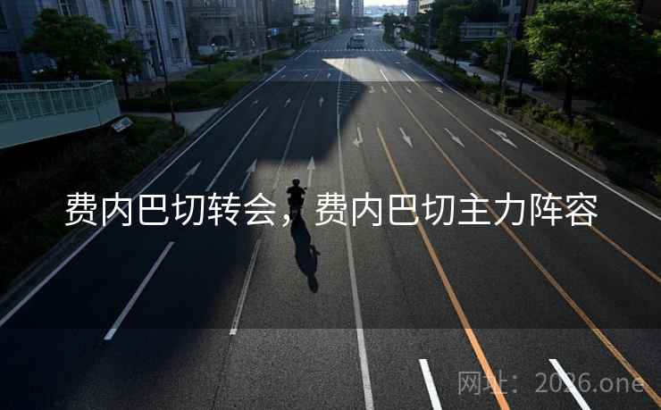 费内巴切转会，费内巴切主力阵容