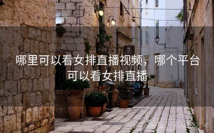 哪里可以看女排直播视频,哪个平台可以看女排直播