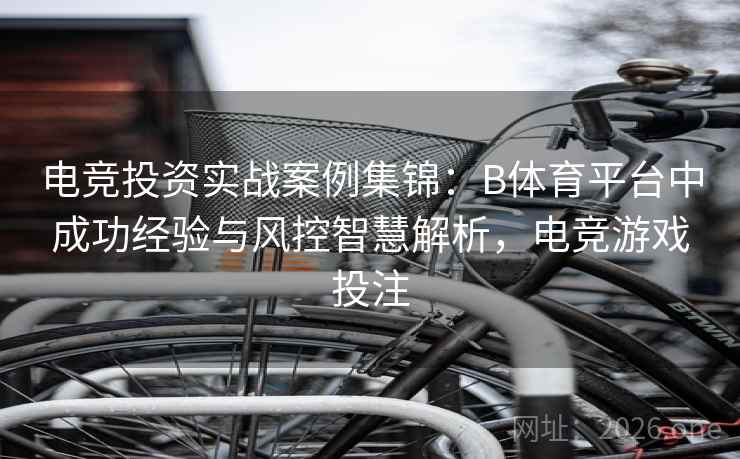 电竞投资实战案例集锦:B体育平台中成功经验与风控智慧解析,电竞游戏投注
