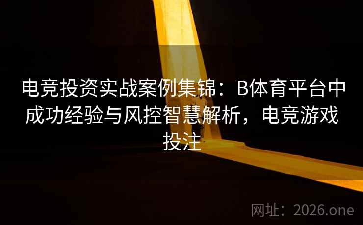 电竞投资实战案例集锦:B体育平台中成功经验与风控智慧解析,电竞游戏投注