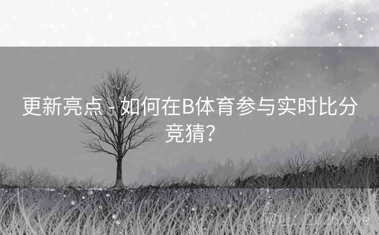 更新亮点 - 如何在B体育参与实时比分竞猜？
