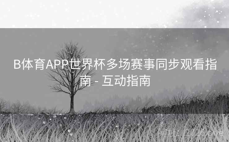 B体育APP世界杯多场赛事同步观看指南 - 互动指南