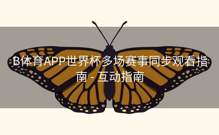 B体育APP世界杯多场赛事同步观看指南 - 互动指南