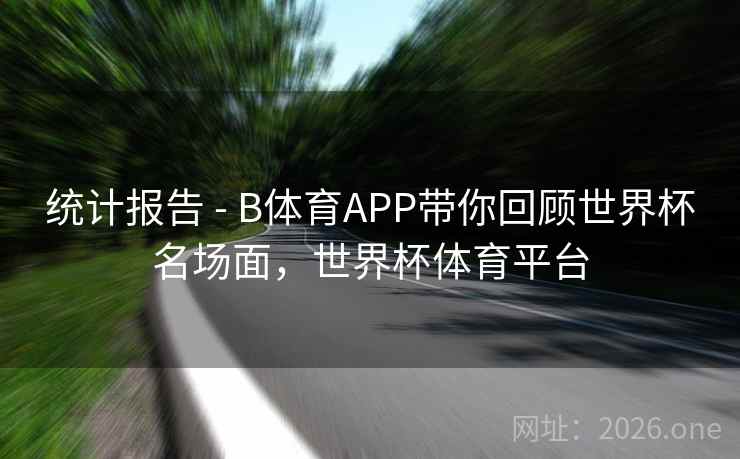 统计报告 - B体育APP带你回顾世界杯名场面,世界杯体育平台