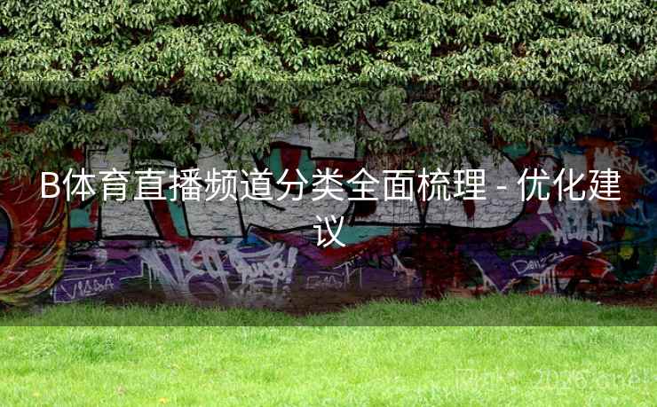B体育直播频道分类全面梳理 - 优化建议
