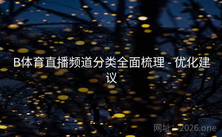 B体育直播频道分类全面梳理 - 优化建议