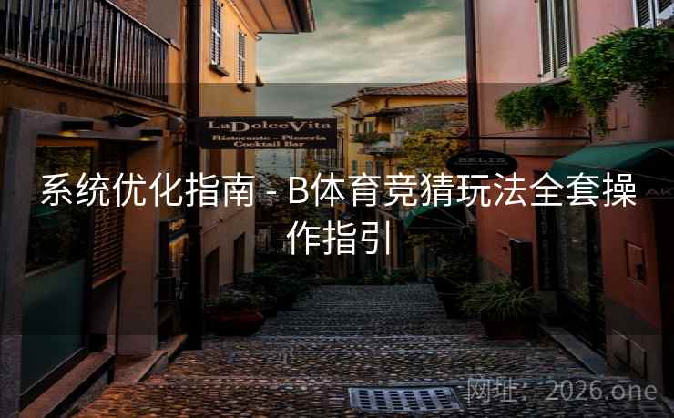系统优化指南 - B体育竞猜玩法全套操作指引